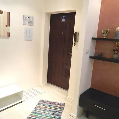 Hotel Vivo *